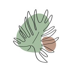 One line art tropical leaf. Elegant outline drawing. Modern abstract floral art and shapes isolated on white background. Pastel color palette combined with black graphics. Vector illustration.