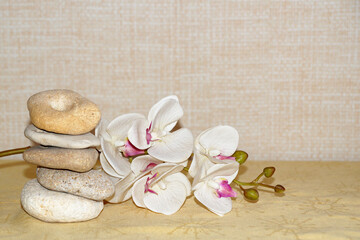 white orchid flower and natural stone pyramid, relaxing zen background