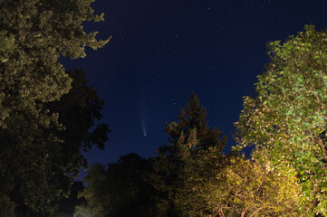 shots in the night sky of the comet neowise with many  other stars in the sky and trees can be seen in the background