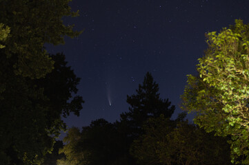 shots in the night sky of the comet neowise with many  other stars in the sky and trees can be seen...