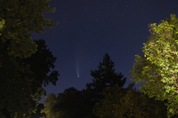 Naklejka premium shots in the night sky of the comet neowise with many other stars in the sky and trees can be seen in the background