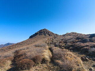 冬枯れの登山道