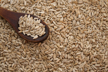 Old wooden spoon with sunflower seeds on a texture of sunflower seeds in the left upper corner
