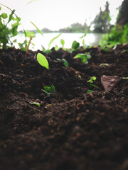 Nature land