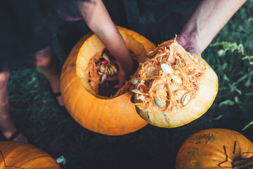 A close up of man's hand pulls seeds and fibrous material from a pumpkin before carving for Halloween.