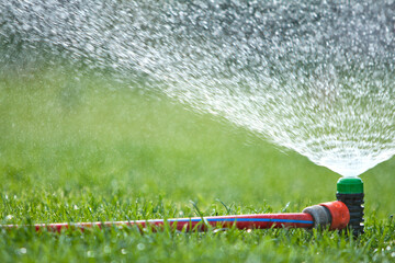 Sprinkler in the lawn watering the grass