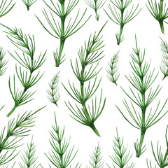 Green horsetail plant seamless pattern. Herbal Equisetum arvense isolated on white background. Watercolor hand drawing illustration. Perfect for wallpaper, backdrop, wrapping, medical design. - obrazy, fototapety, plakaty