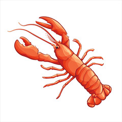 Vector illustration of crayfish isolated on white background