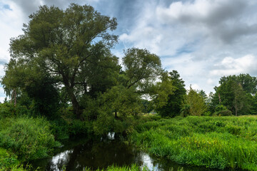 Fototapeta na wymiar drzewa rzeka krajobraz natury