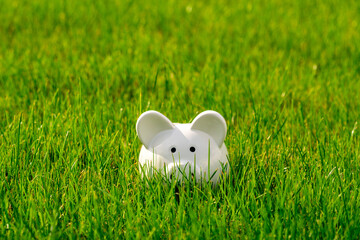 White piggy bank on grass field