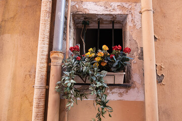 Fototapeta na wymiar Flowers on a neglected window with metal bars and crumbling plaster