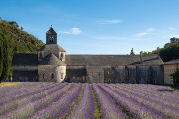 Lavender field and a monastery in french Provence