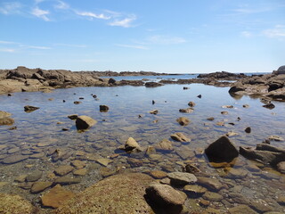 Côte sauvage, Le Croisic, Loire-Atlantique, Pays de la Loire, France