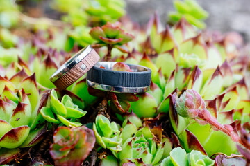 Special wedding rings with wooden look on succulents as a sign of commitment love and togetherness