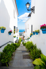 Calle con casas blancas, plantas y mar Mediterraneo al fondo en Mijas, Málaga