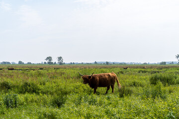 Tiengemeten, The Netherlands
