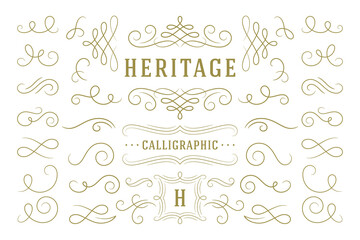 Calligraphic design elements vintage ornaments swirls and scrolls ornate decorations vector design elements. - obrazy, fototapety, plakaty