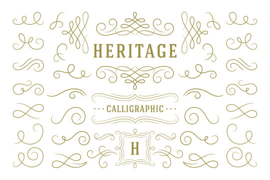 Calligraphic design elements vintage ornaments swirls and scrolls ornate decorations vector design elements.