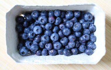 blueberries in a bowl