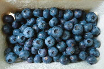 blueberries in a bowl