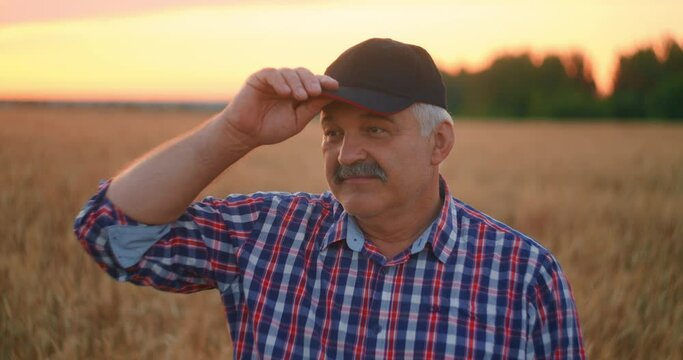 Portrait of a Senior adult farmer in a field of grain looking at the camera and smiling at sunset. The tractor driver takes off his cap and looks at the camera in slow motion