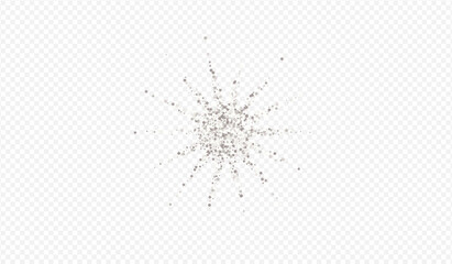 Silver Confetti Bridal Transparent Background. 