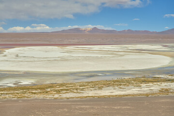 Fototapeta na wymiar Red waters and flamingos at Colorada Lagoon - South of Bolivia.