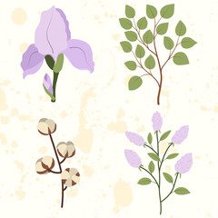 Set of lilac flower, iris, cotton, green leaf branch for decoration design. Vector illustration template. Wedding floral decor.