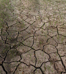 cracked soil on agriculture farm concept for climate change.
