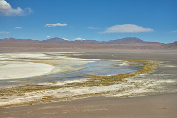 Red waters and flamingos at Colorada Lagoon - South of Bolivia.