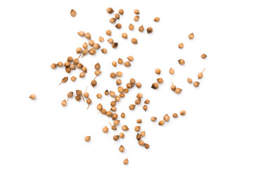 Coriander seeds isolated on white background