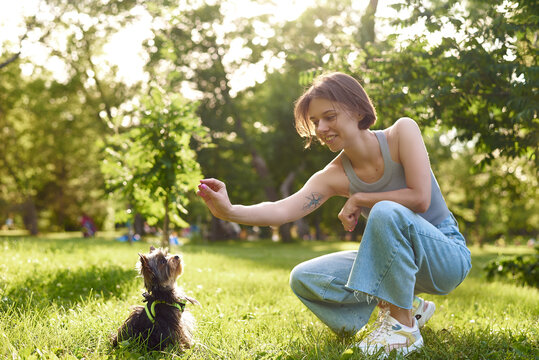 A young girl runs and plays in a green park with her Yorkshire terrier. Woman on a walk training small dog yorkshire terrier on sunny nature background