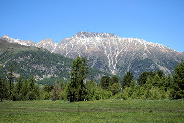 Berglandschaft im Engadin in der Schweiz 27.5.2020