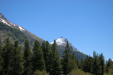 Berglandschaft im Engadin in der Schweiz 27.5.2020