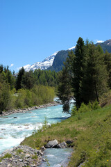 Obraz premium Kleiner Gebirgsbach im Engadin in der Schweiz 27.5.2020