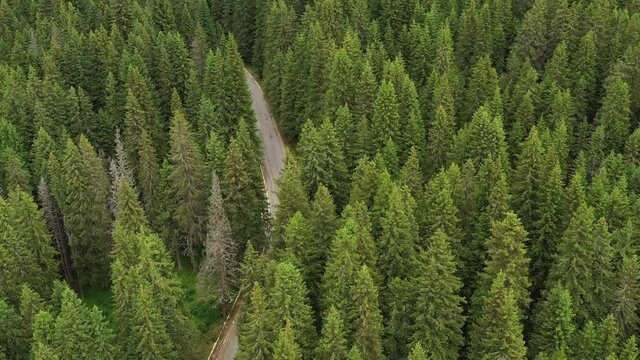 Drone 4k clip with car traveling on the Trans Bucegi mountain road high up in the Carpathian Mountains.