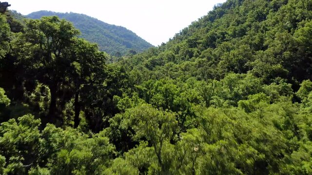 cork oak natural area of Mosquera alto palancia spain mditerranean aerial view