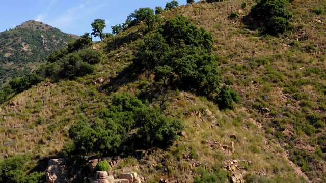 cork oak natural area of Mosquera alto palancia spain mditerranean aerial view