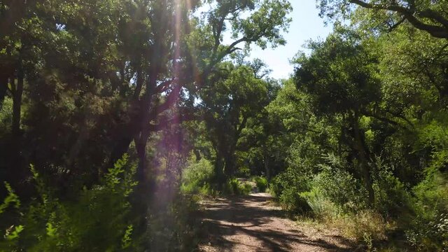 cork oak natural area of Mosquera alto palancia spain mditerranean aerial view