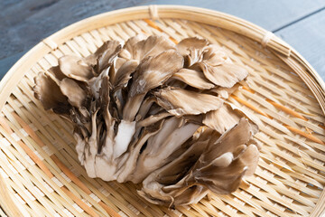 舞茸 © Hanasaki