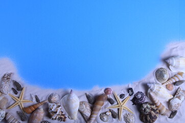 Mix of seashells on sand and blue background