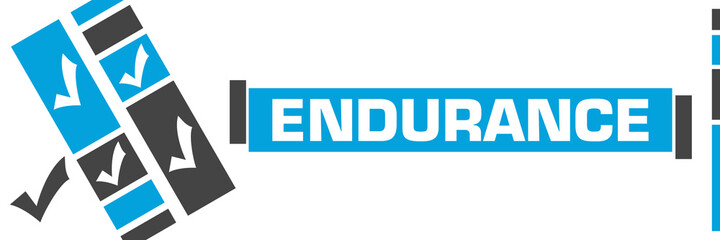 Endurance Blue Grey Line Boxes Tick Marks 