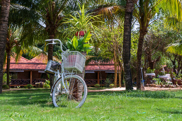 Fototapeta na wymiar White vintage bike with basket of decorative plants in garden next to tropical beach on island Phu Quoc, Vietnam. Travel and nature concept