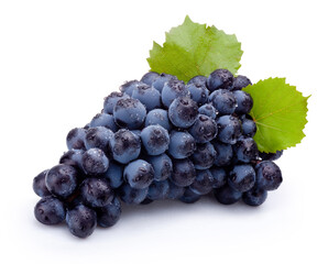Bunch of wet blue grapes with leaves isolated on white background