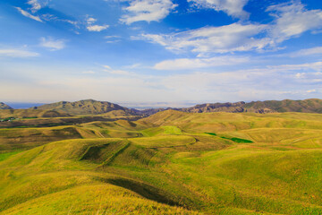 Obraz premium Beautiful spring and summer landscape. Lush green hills. Spring blooming herbs.