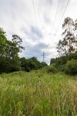 Landscape with high voltage tower with eucalyptus trees, in a green meadow in the north of Spain, at sunset, vertically