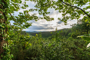 Landscape with the sun at sunset, through a lush forest, in Cantabria, Spain, horizontal