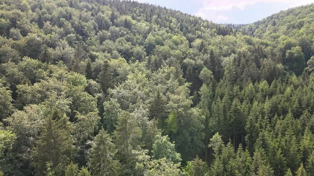 Rietheim Weilheim bei Tuttlingen
