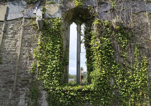 The inside of the abandoned Protestant Christ Church building at Toormakeady, County Mayo, Ireland.