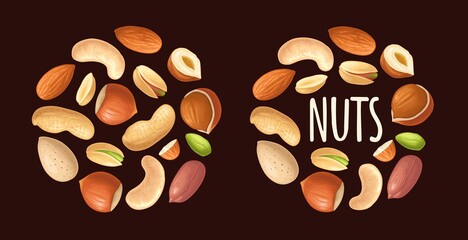 Set hazelnut, peanut, almond, cashew, pistachio. Vector realistic icon nut